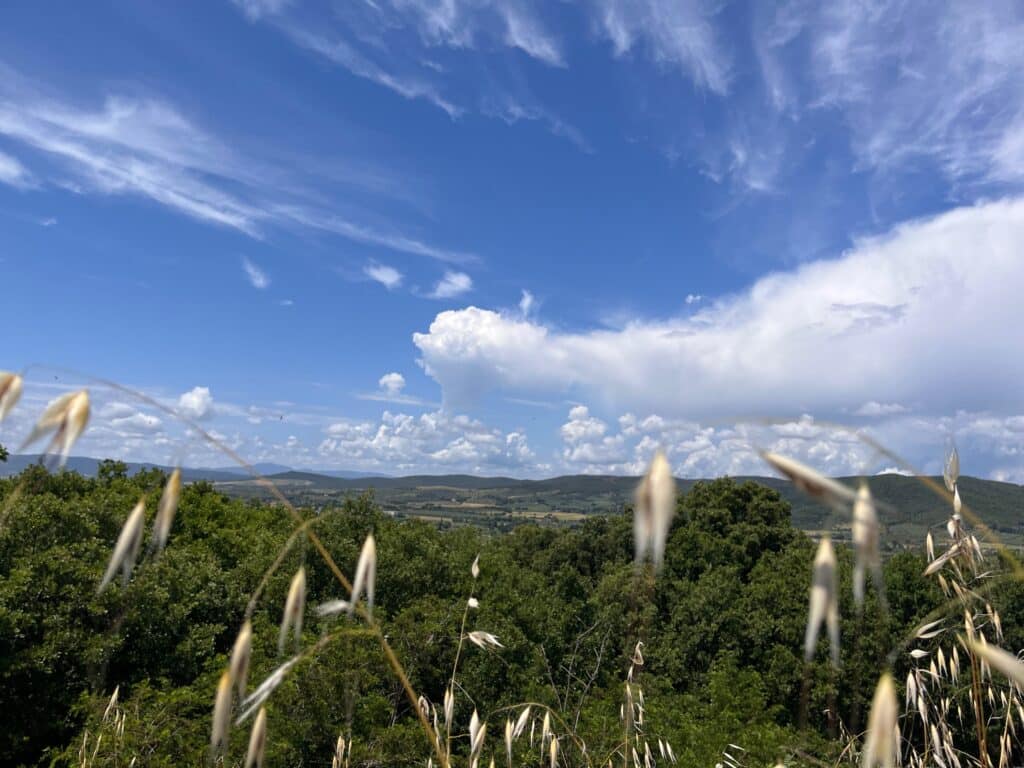 Vista dalla collina dell'avena