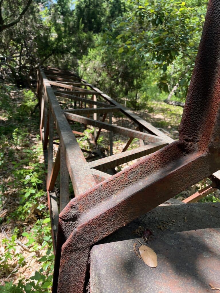 Tour esplorativo attraverso il bosco di lecci di Casa Ferruccio - Albero di ferro caduto